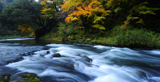 山中温泉の名所旧跡 山中温泉